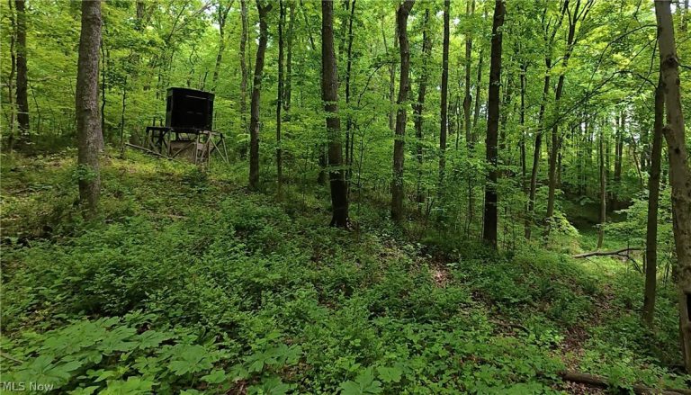 Tatman Road, Uhrichsville, OH - Photo 6