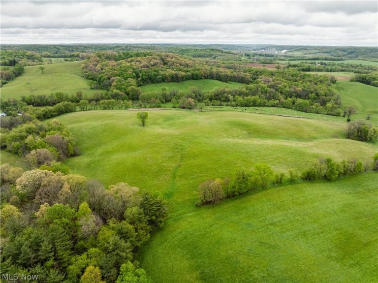Timmerman Road, Bowerston, OH - Photo 6