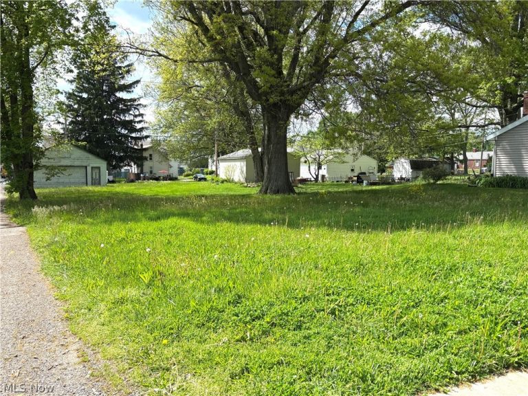 233 Vine Street, Columbiana, OH - Photo 2