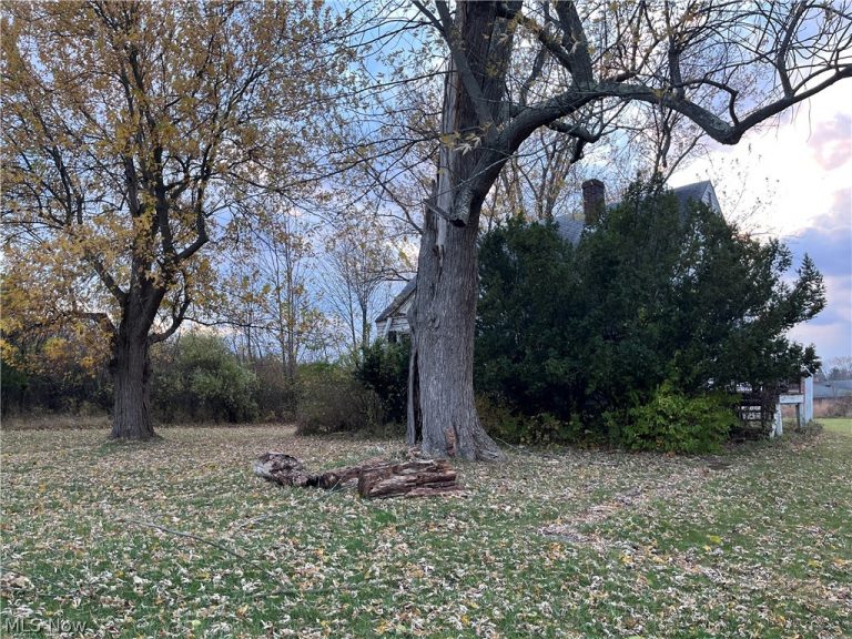554 & 610 Chillicothe Road, Aurora, OH - Photo 6
