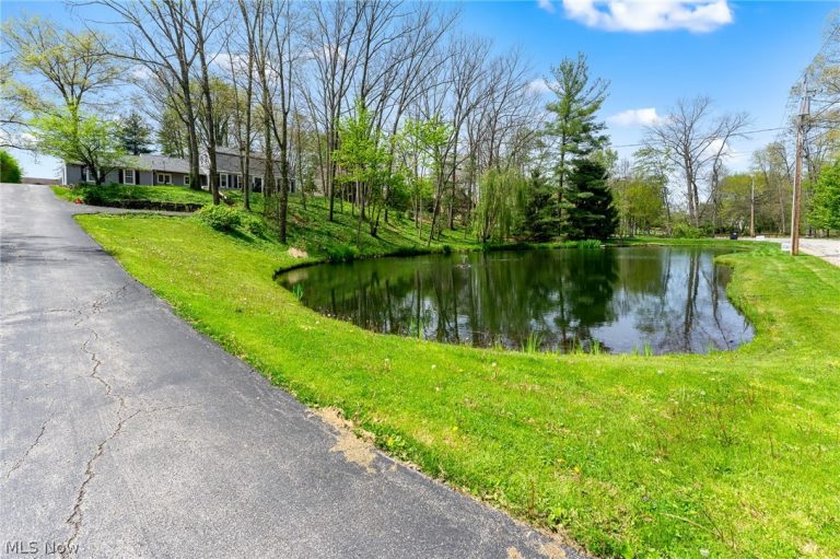 830 Blueberry Hill Drive, Canfield, OH - Photo 5