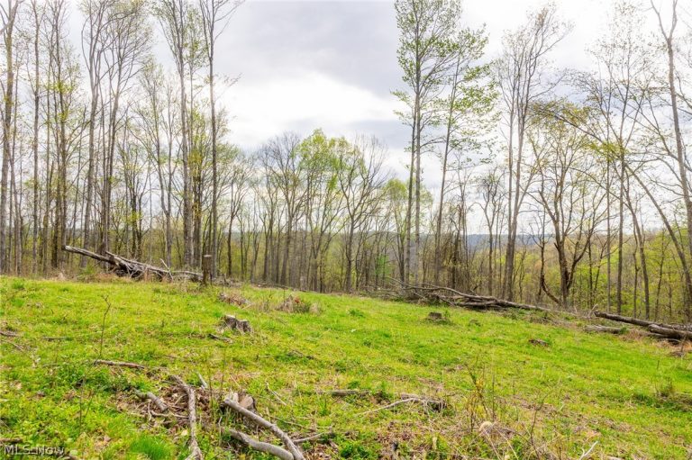 2115 Goss Fork Rd #2, Whipple, OH - Photo 8