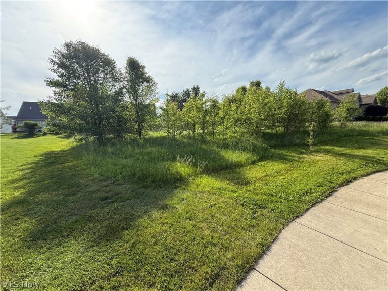 40 Woodland Run, Canfield, OH - Photo 3