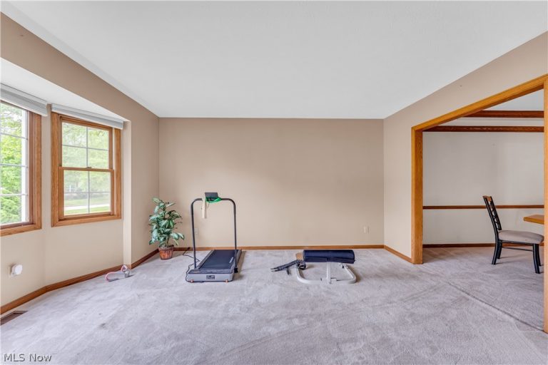 5181 Hanover Drive, Medina, OH - Photo 8