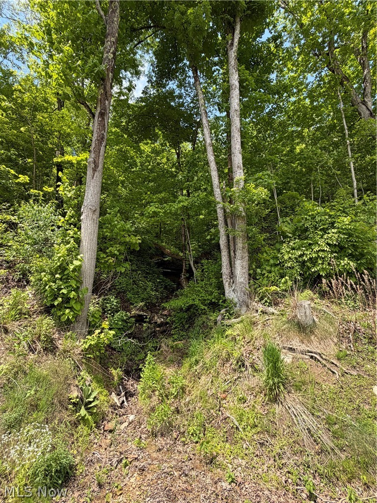 Harrietsville SR 145 Road, Lower Salem, OH - Photo 4