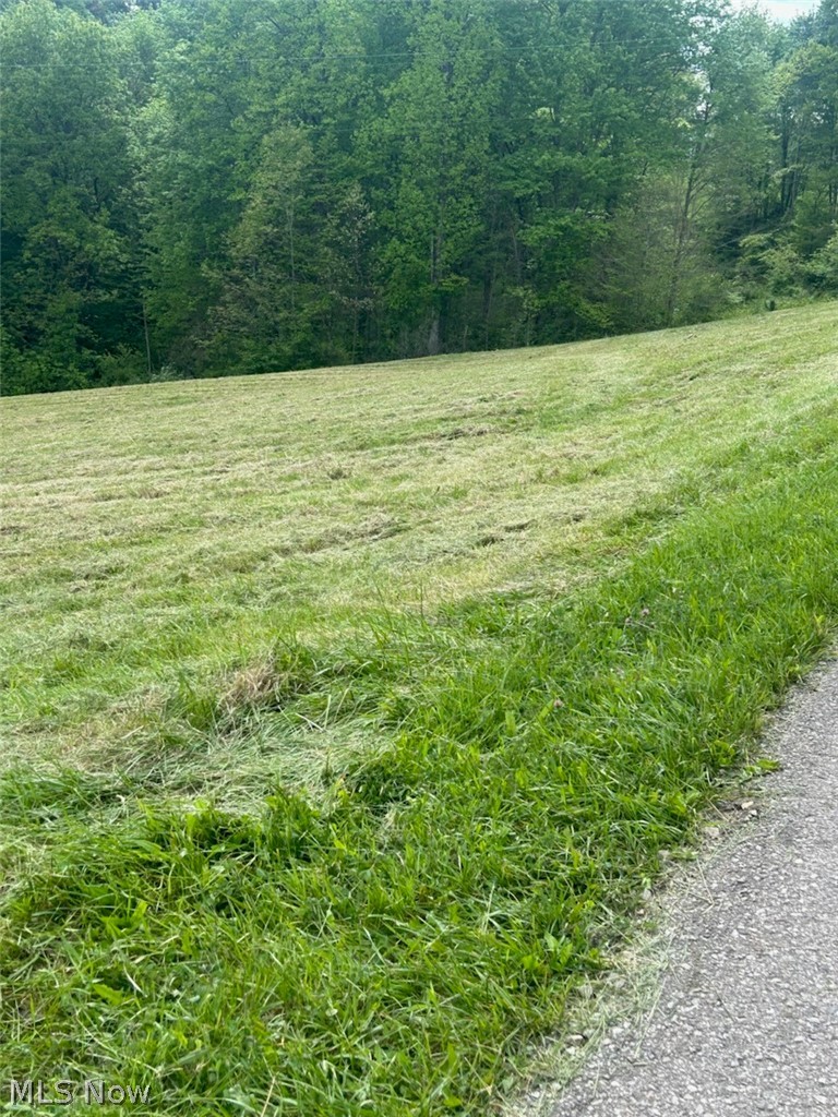 County Line Road, St Marys, WV - Photo 3