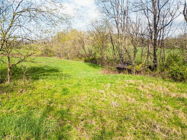 47691 Captina Highway Road, Alledonia, OH - Photo 8