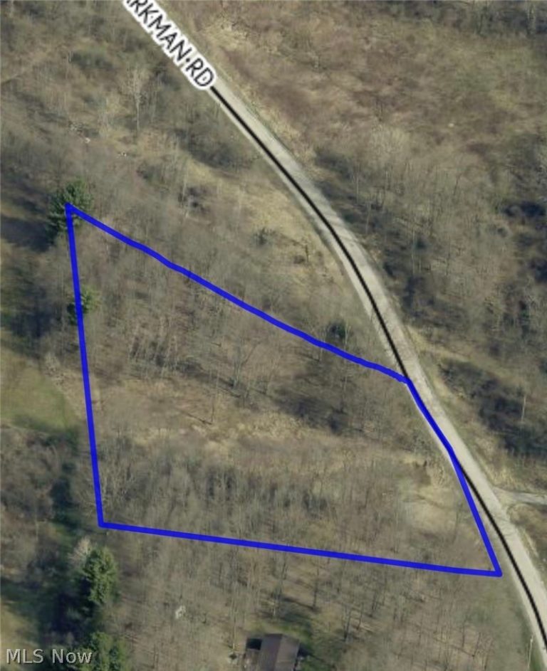 V-L Parkman Road, Windham, OH - Photo 3