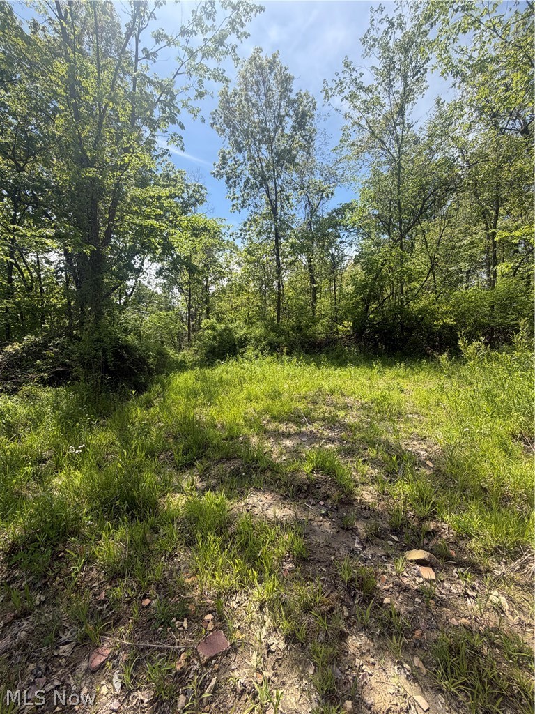 SE ROBINHOOD RD, Dennison, OH - Photo 6