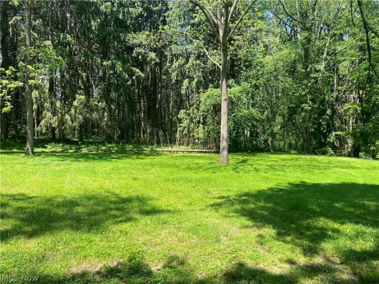 High Mill Avenue, Clinton, OH - Photo 6