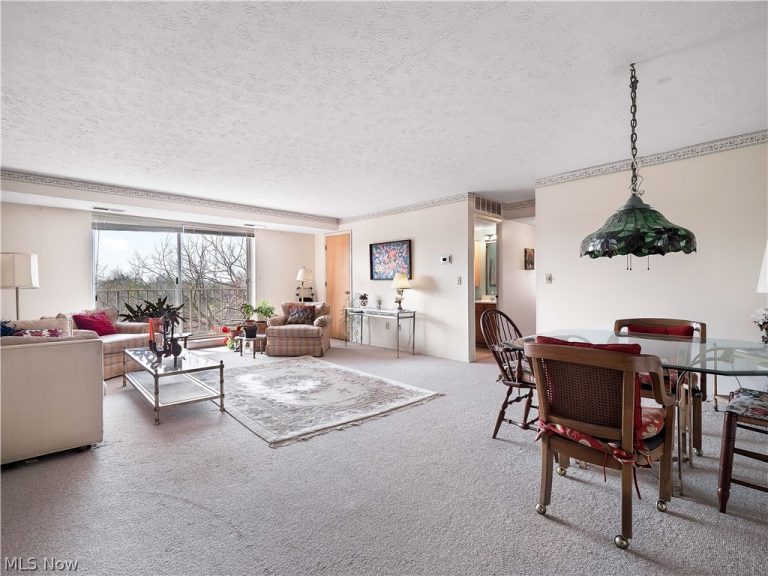 50 Rocky River Drive #705, Berea, OH - Photo 6