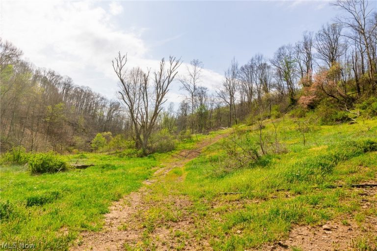 Twp Rd 63 Deans Fork Rd #4, Whipple, OH - Photo 6