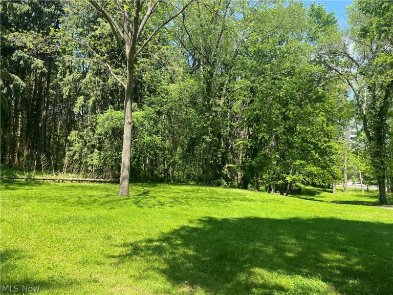 High Mill Avenue, Clinton, OH - Photo 2