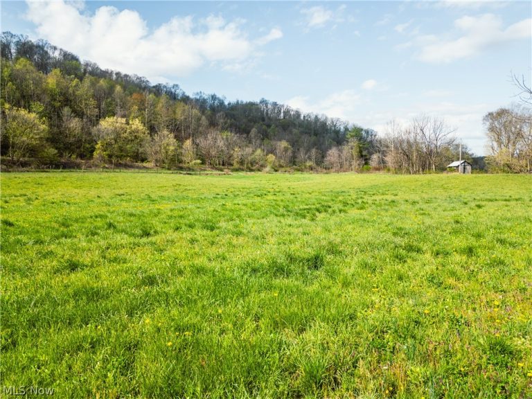 47691 Captina Highway Road, Alledonia, OH - Photo 2