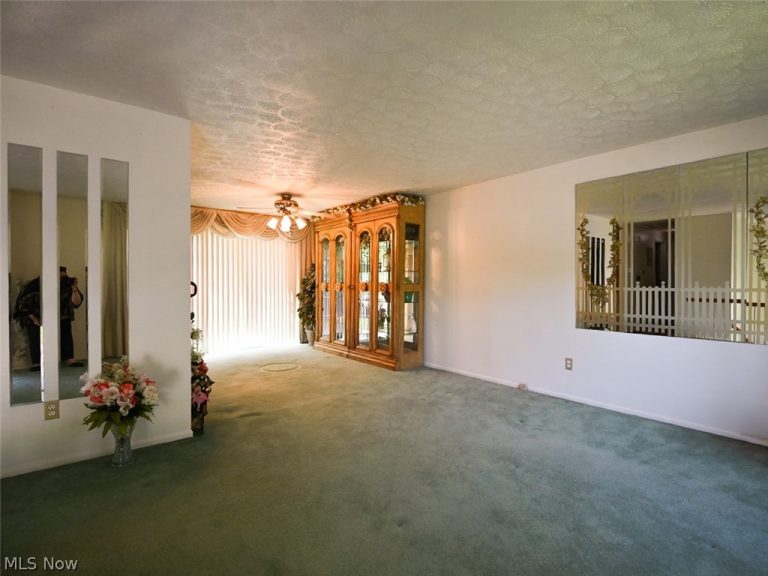 100 Blossom Lane, Niles, OH - Photo 5