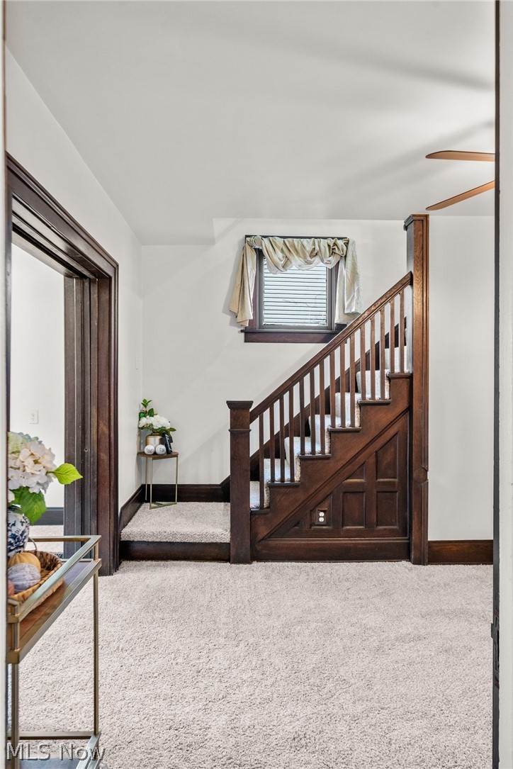 244 Park Avenue, Alliance, OH - Photo 5