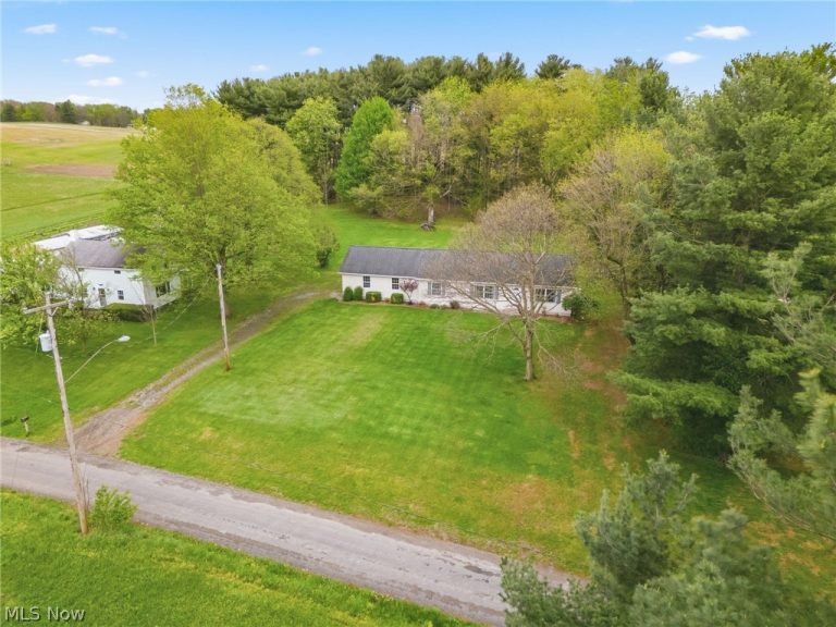 9084 Plymouth Street, Hanoverton, OH - Photo 5