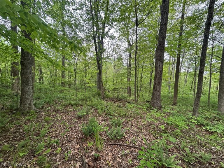 Wesley Chapel, Mount Perry, OH - Photo 6