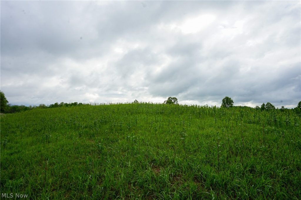 Van Fossen Ln, Chesterhill, OH