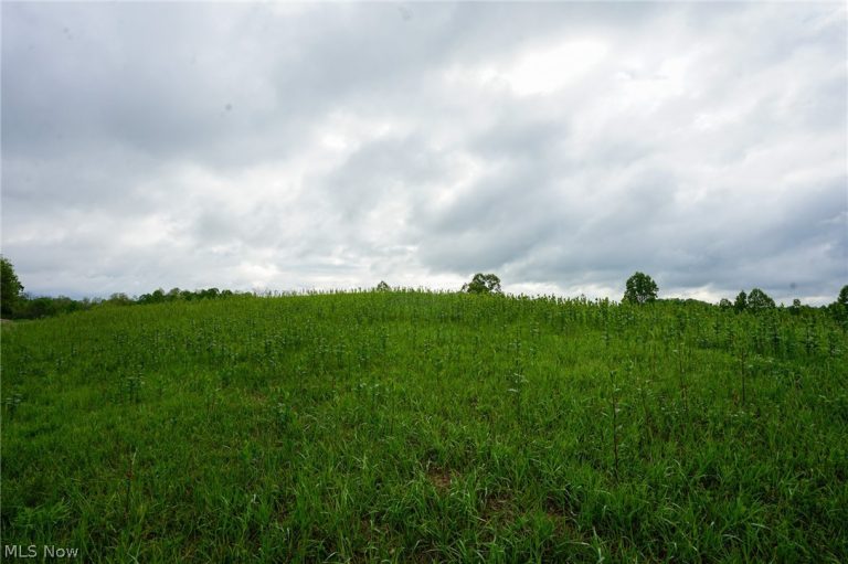 Van Fossen Ln, Chesterhill, OH, 43728