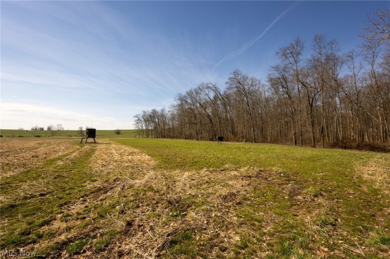 Lambert Road, Roseville, OH - Photo 2