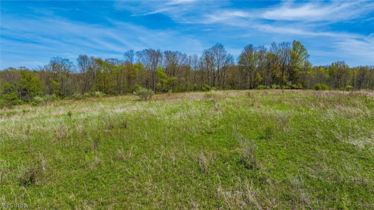 Mcclintocksburg Road #A, Diamond, OH - Photo 2