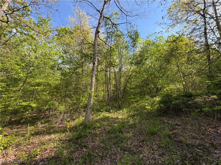 Township Road 290, Coshocton, OH, 43812