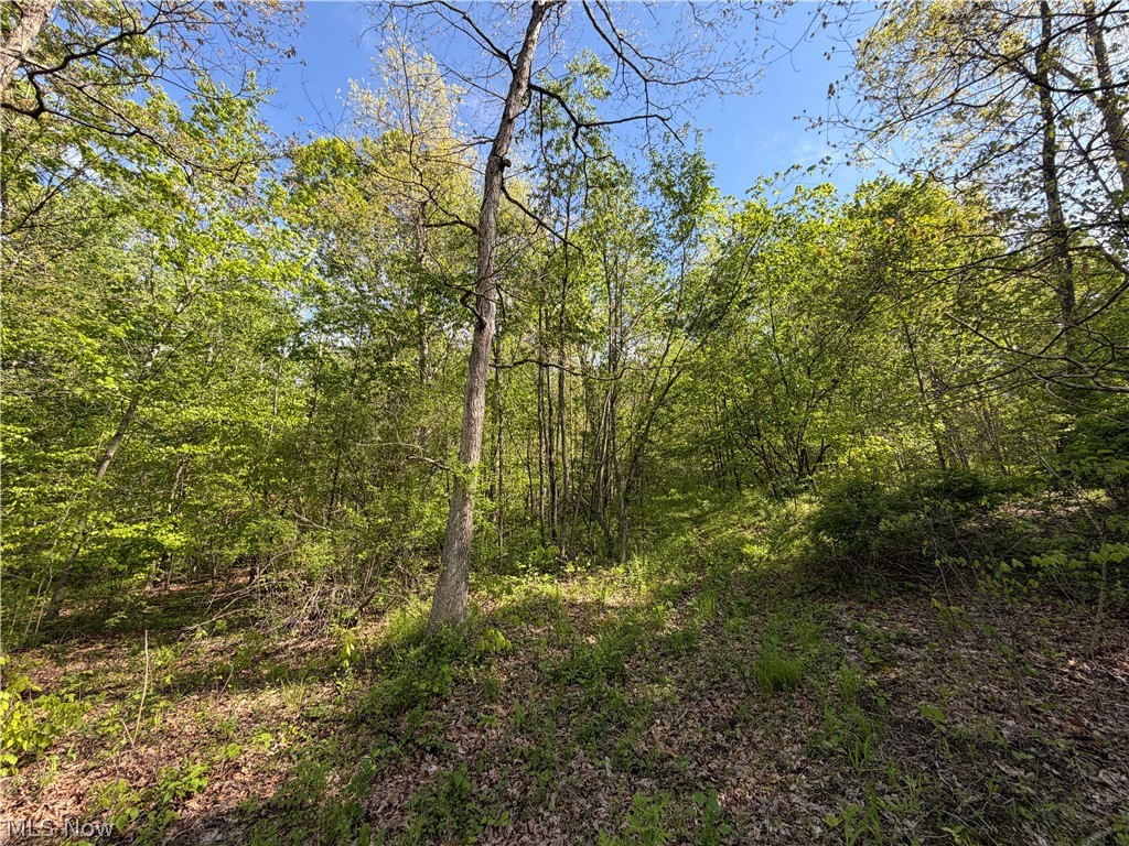 Township Road 290, Coshocton, OH