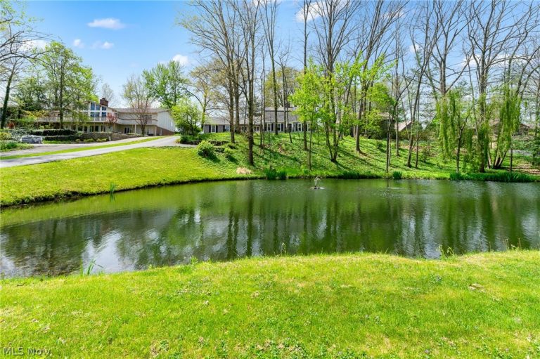 830 Blueberry Hill Drive, Canfield, OH - Photo 4