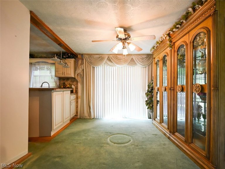 100 Blossom Lane, Niles, OH - Photo 8