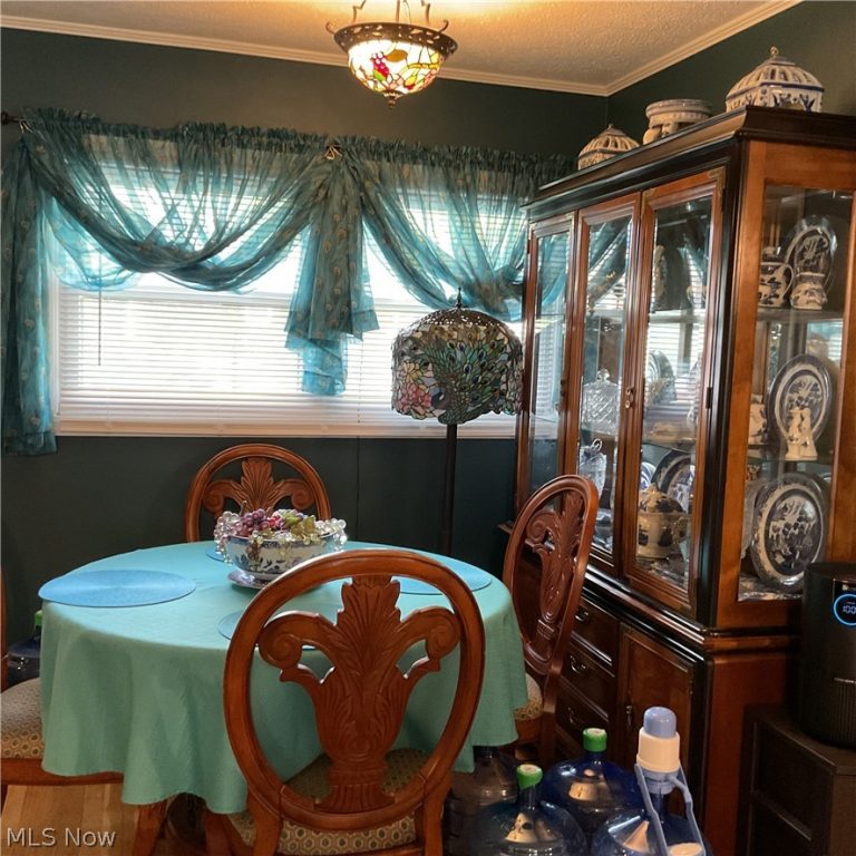 800 Boso Avenue, Ravenswood, WV - Photo 8