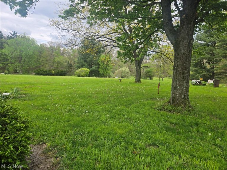 46457 Whitney Road, Wellington, OH - Photo 3