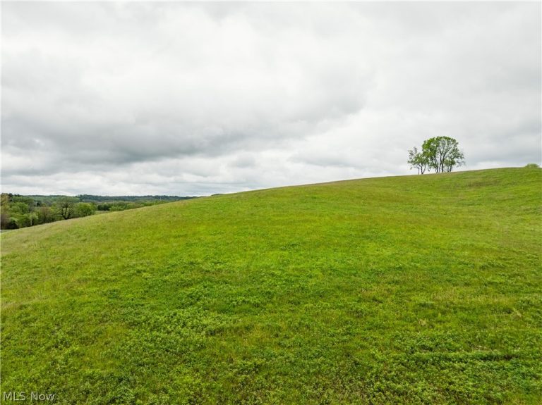 Timmerman Road, Bowerston, OH - Photo 7