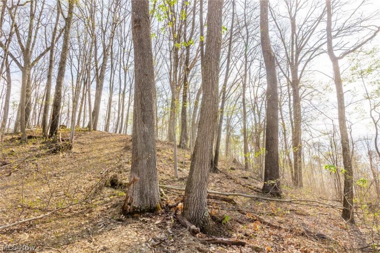 Twp Rd 63 Deans Fork Rd #5, Whipple, OH - Photo 6