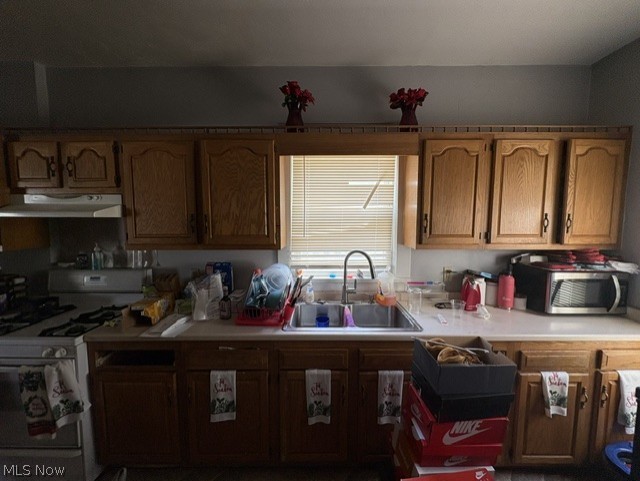 1743 Silliman Street, Youngstown, OH - Photo 3