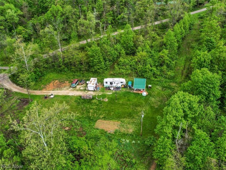 49250 Cowgill Road, Sarahsville, OH - Photo 8