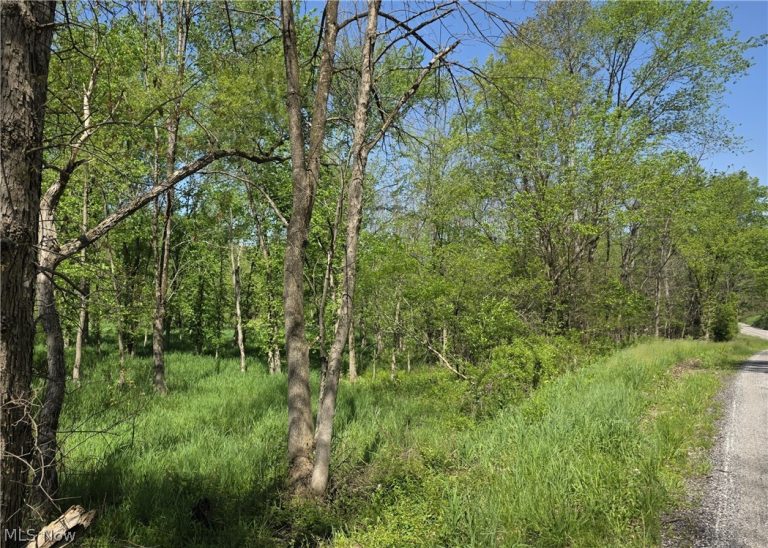 6820 Crane Run Road, Cumberland, OH - Photo 3