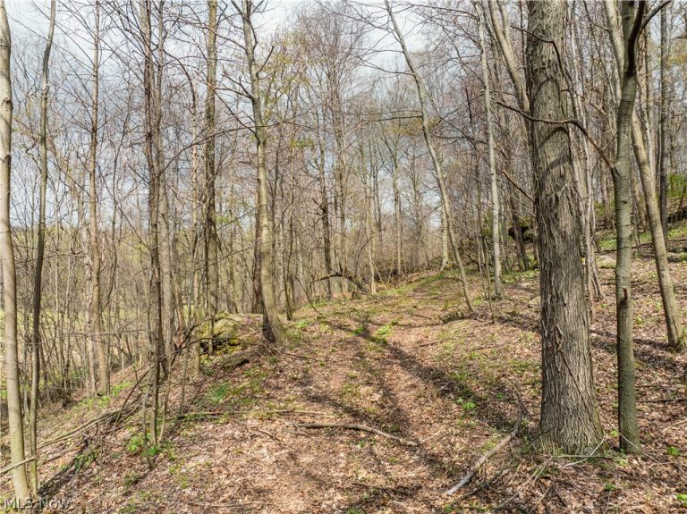 8480 Possum Hollow Road, Dundee, OH - Photo 6