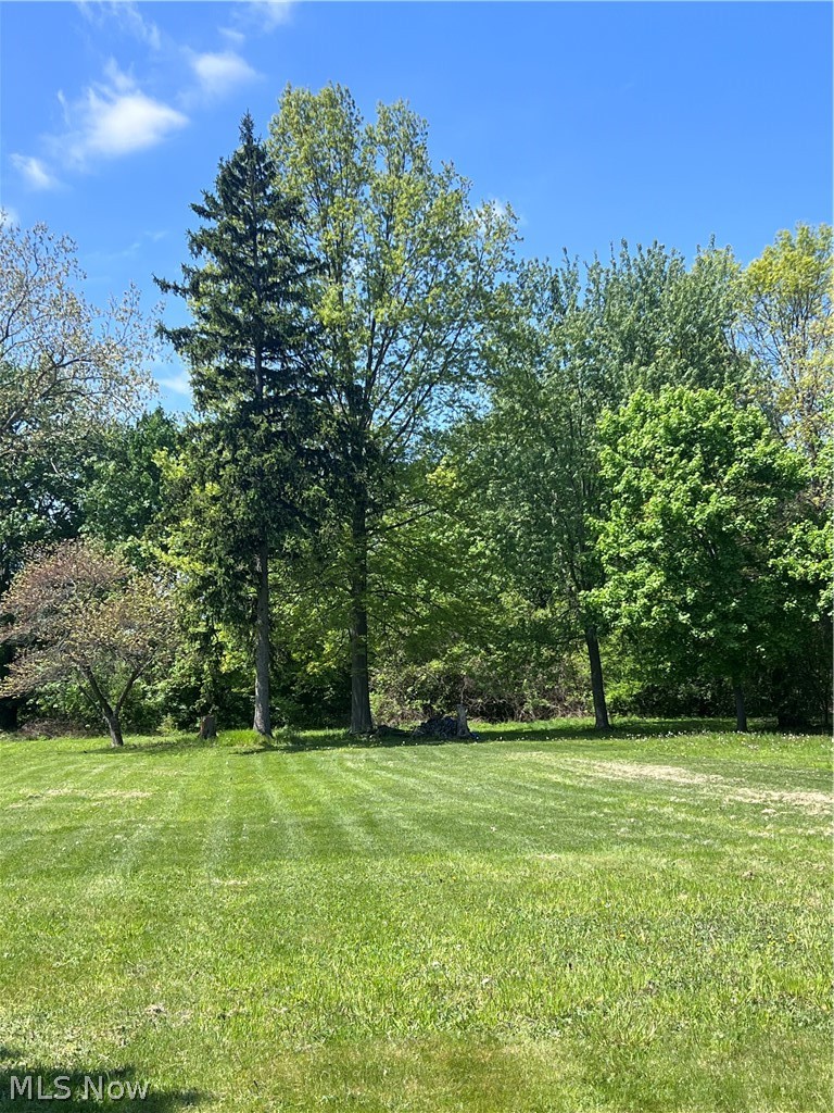 345 Park Road, Painesville, OH - Photo 4
