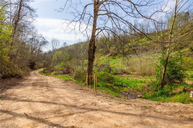 Twp Rd 63 Deans Fork Rd #4, Whipple, OH, 45788