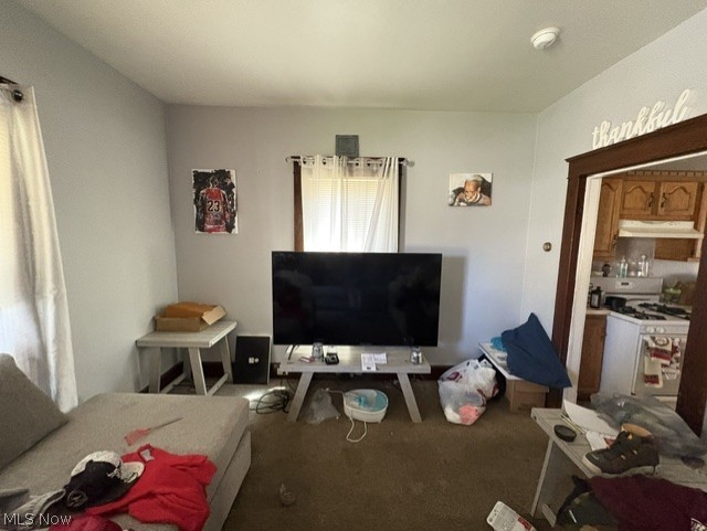 1743 Silliman Street, Youngstown, OH - Photo 2