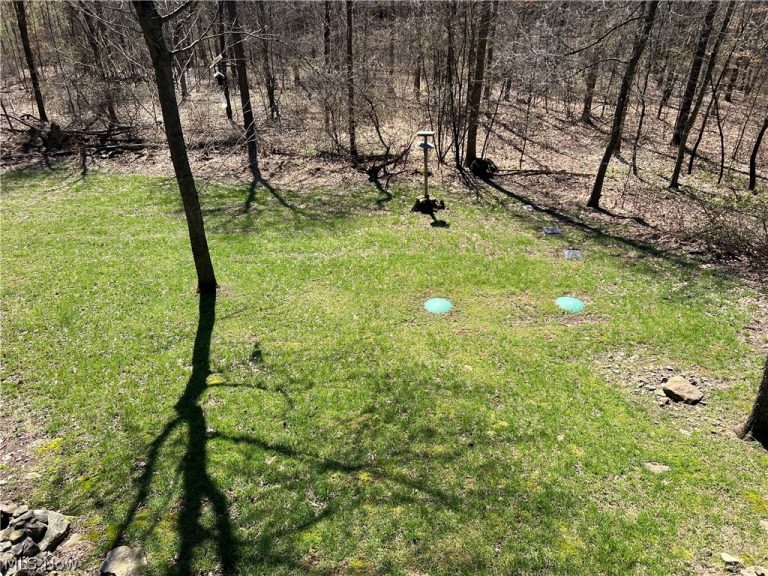 5180 Fresno Road, Dellroy, OH - Photo 8