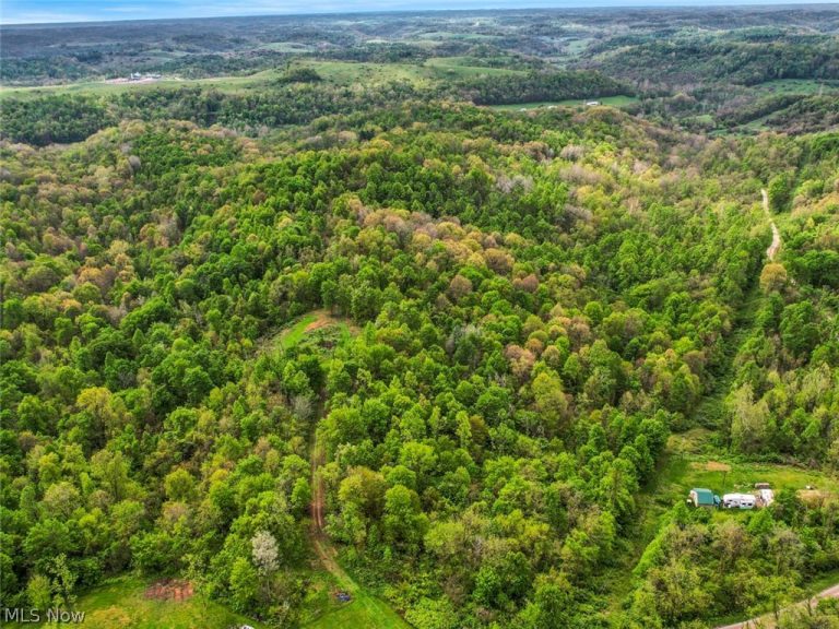 49250 Cowgill Road, Sarahsville, OH - Photo 4