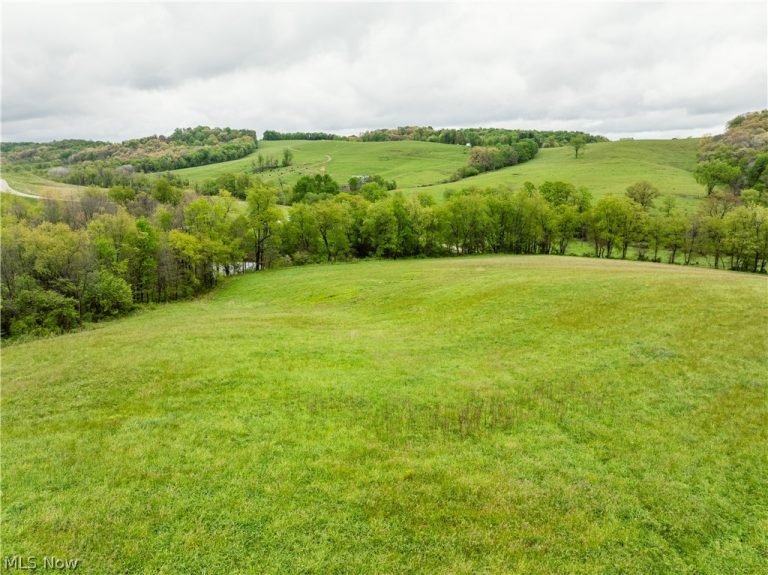Timmerman Road, Bowerston, OH - Photo 4
