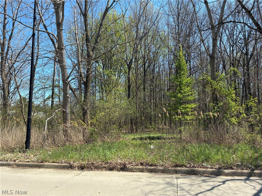 Sferra Avenue, Warren, OH