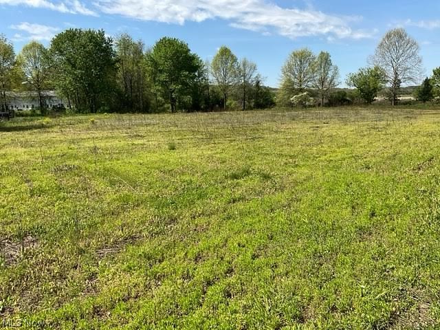 Hess Mill RD, Bolivar, OH - Photo 4