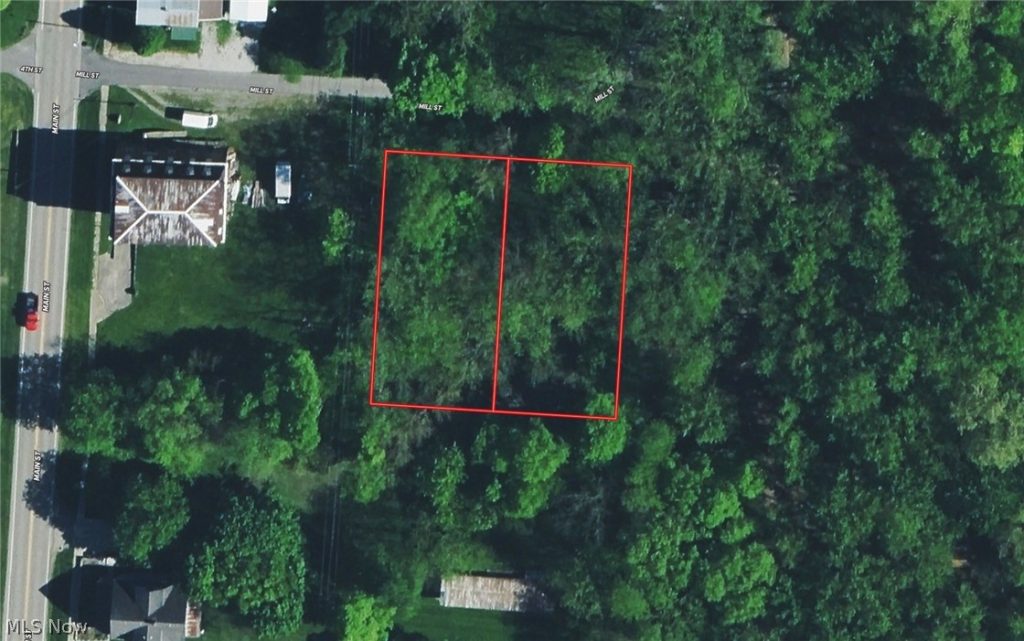 1295 Mill Street, Evansport, OH