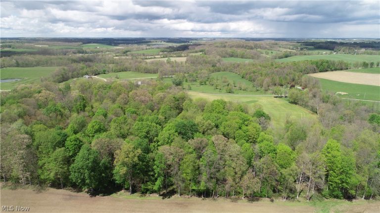 Van Winkle Road, Frazeysburg, OH - Photo 3