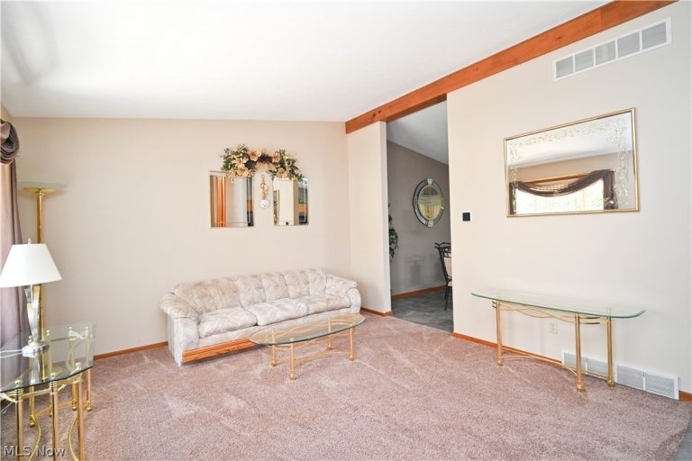 3608 Meander Reserve Circle, Canfield, OH - Photo 6