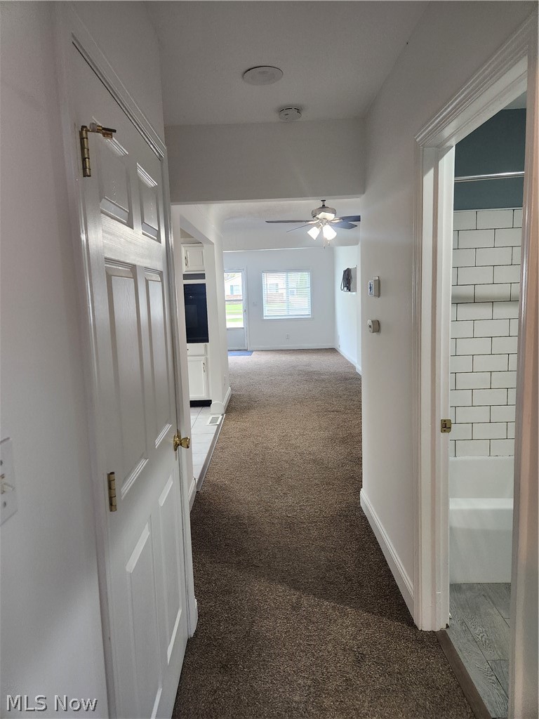 20680 Belvidere Avenue, Fairview Park, OH - Photo 3